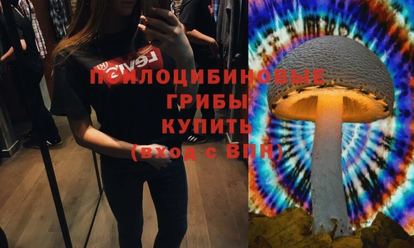 твердый Елизово
