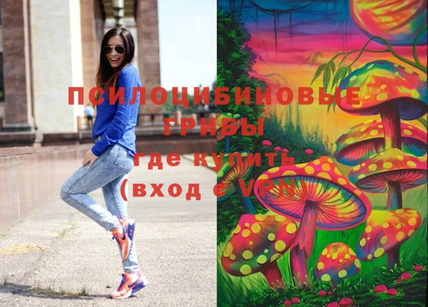 mdpv Ельня