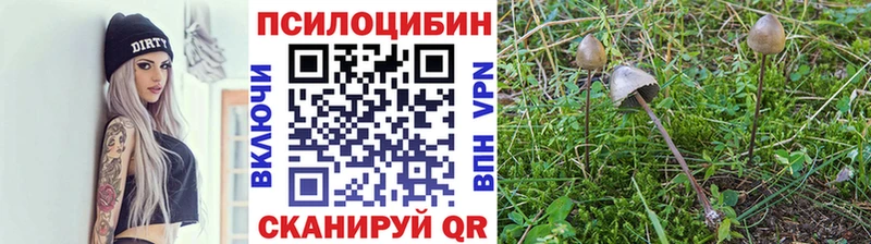 Галлюциногенные грибы Magic Shrooms  Купить  Кирово-Чепецк 
